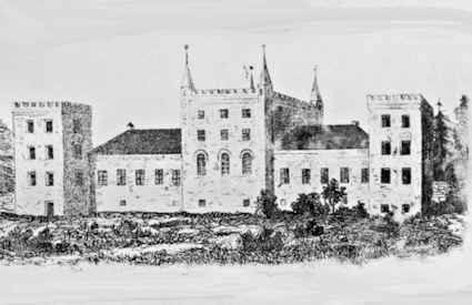 Gräfsnäs slott Gräfsnäs slott